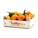 Oranges/Mandarins 15 kg