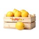 Limones Standard - 5 kg