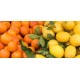 Naranjas/Limones 15 kg