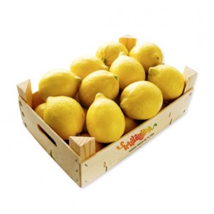 Lemons - 5 kg