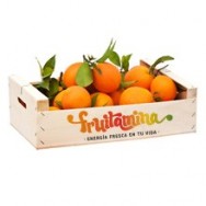 Naranjas  Premium de mesa - 5 kg