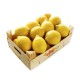 Standard Lemons - 5 kg